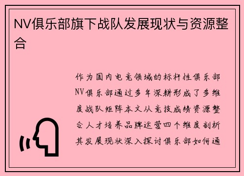 NV俱乐部旗下战队发展现状与资源整合